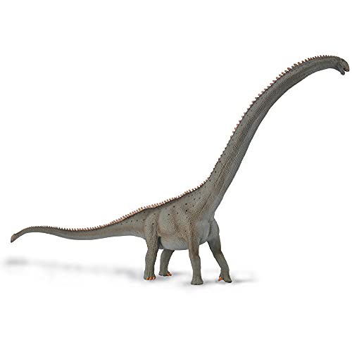 Collecta Dinosaurier Mamenchisaurus junior 40 x 24 cm grau von Collecta