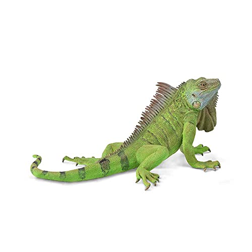 Collecta Figurka Iguana 88965 [FIGURKA] von Collecta