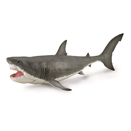 CollectA, Megalodon mit beweglichem Kiefer (Deluxe Maßstab 1:40), Dinosaurier Sammelfigur von Collecta