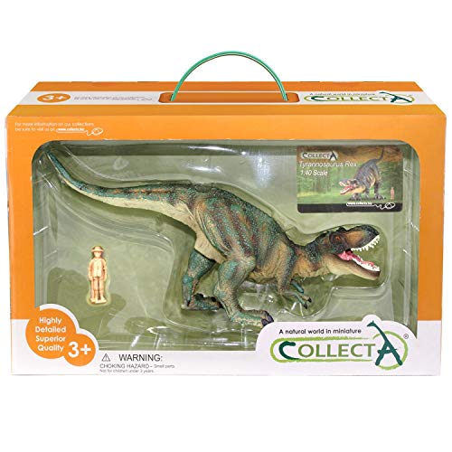 Collecta Prehistoric Life Tyrannosaurus Rex Deluxe, Maßstab 1:40, von Paläontologen zugelassenes Dinosaurier-Modell in Fensterbox von Collecta