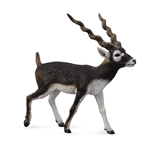 Collecta Wildlife Blackbuck Spielzeugfigur – authentisches handgemaltes Modell, Zwarte von Collecta