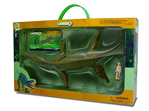 Collecta 1: 40 Pilosaurus in Deluxe-Blumenkasten von Collecta