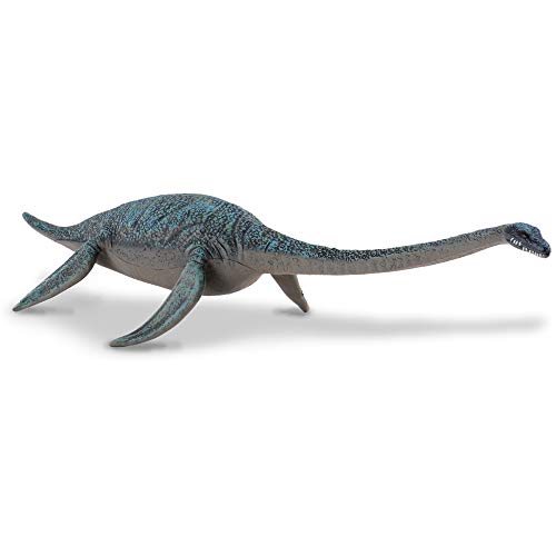 Collecta – 3388139 – Figur – Dinosaurier – Urzeit – hydrotheosaure von Collecta