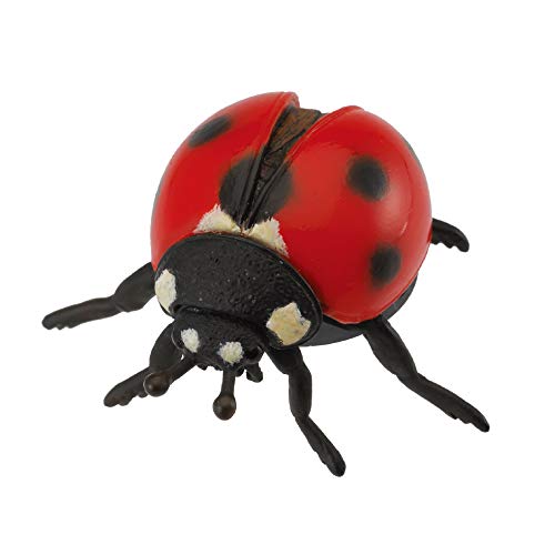 Collecta – 3388474 – Figur – Insekten – Marienkäfer von Collecta