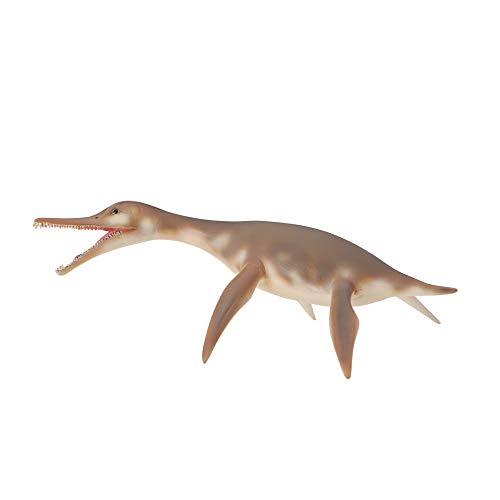 Collecta – 3388520 – Figur – Dinosaurier – Urzeit – Dolichorhynchops Collecta – 3388520 – Figur – Dinosaurier – Urzeit – Dolichorhynchops von Collecta