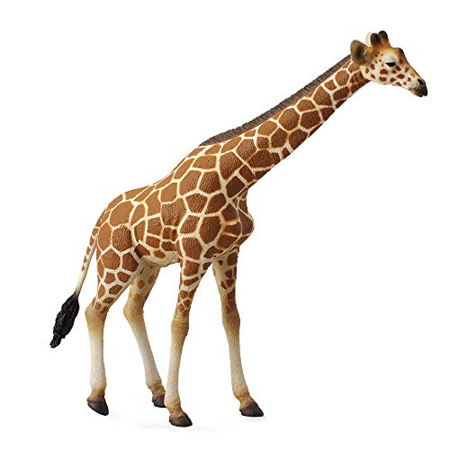 Collecta – 3388534 – Figur – Wildtiere – Giraffe von Collecta