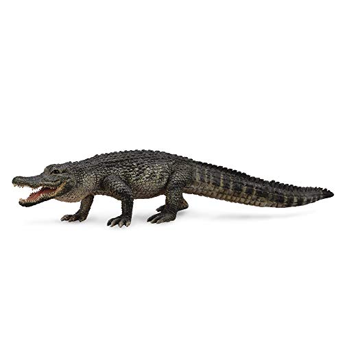 Collecta - American Caiman -L- 88609 (90188609) von Collecta