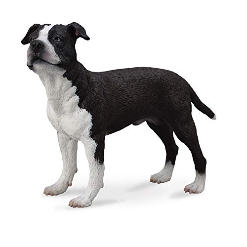 Collecta - 3388610 - Figur - Tier - Hunde - American Staffordshire Terrier von Collecta