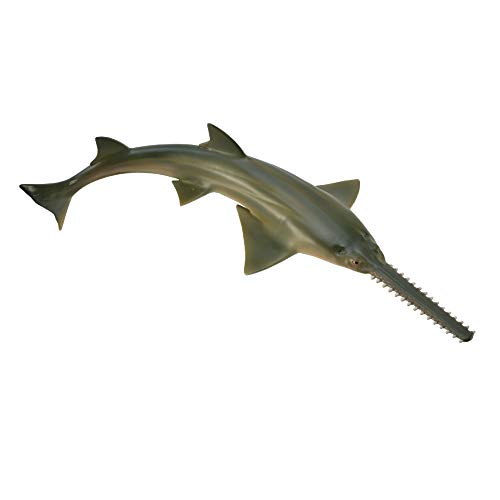 Collecta 88659 Sea Life Sawfish Spielzeugfigur – authentisches, handbemaltes Modell , Baby, grün von Collecta