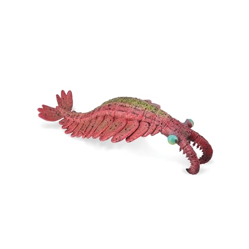 Collecta Anomalocaris – Sammelfigur – Größe L – (Deqube 90188977) von Collecta