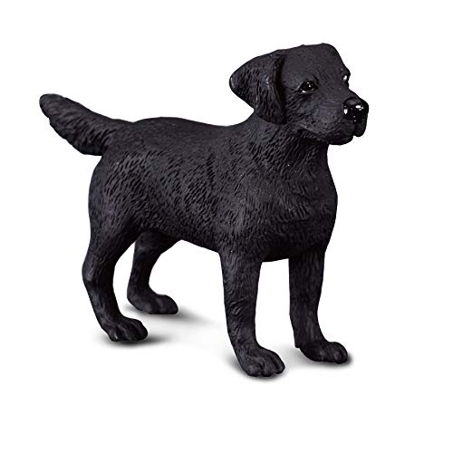 Collecta - Col88076 - Labrador Retriever - Größe M von Collecta