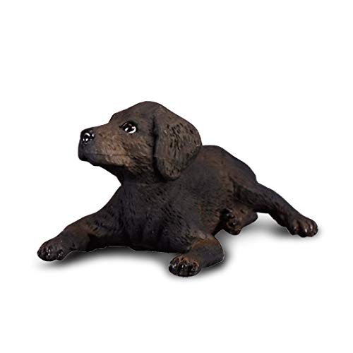 Collecta - Col88077 - Labrador Retriever Welpe - Größe S von Collecta