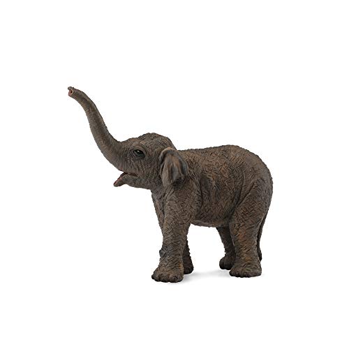 Collecta - Col88487 – Asie-Elefant, Größe S von Collecta