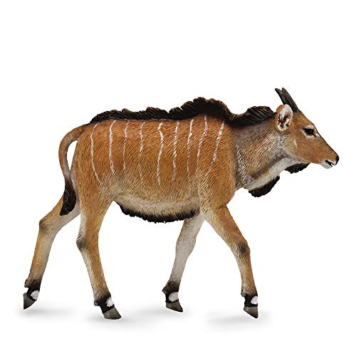 Collecta – Eland Calf – M – 88768 (90188768) von Collecta