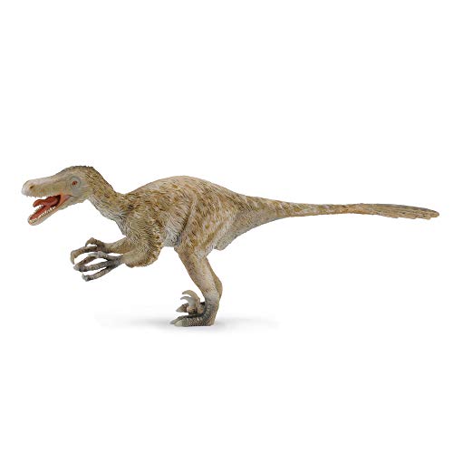 CollectA Velociraptor – Deluxe Maßstab 1:6 von Collecta