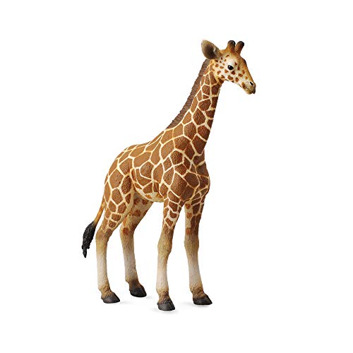 Collecta Wildlife retikulierte Giraffe, Kalbs-Spielzeugfigur, authentisch, handbemalt von Collecta