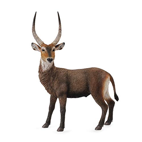 Collecta – col88562 – COBE zu Wachsende – Antilope – Größe L von Collecta