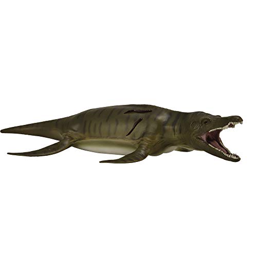 Figurine Dinosaure : Deluxe 1:40 : Pliosaurus von Collecta