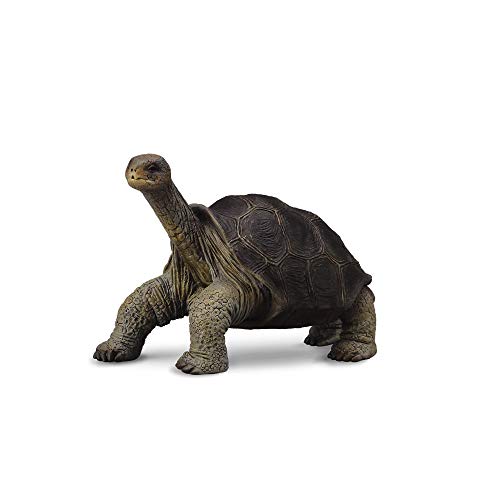 Collecta - 3388619 – Figur – Wildtiere – Galápagos Riesenschildkröte von Collecta