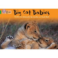 Big Cat Babies von Collins Childrens Books