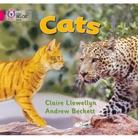 Cats von Collins Childrens Books