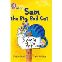 Sam and the Big Bad Cat von Collins Childrens Books