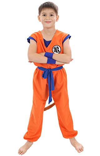 CoolChange Son Goku Kinder Kostüm | Trainingsanzug bei Muten Roshi | Größe: 110 von CoolChange