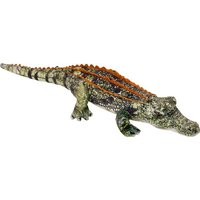 Krokodil - Nature Zoom Wild Krokodil - Nature Zoom Wild von Coppenrath Verlag GmbH & Co. KG