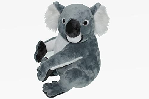 Cornelissen - 1017278 - Koala, Plüsch, 33cm, Stofftier, waschbar bis 30 Grad von Cornelissen