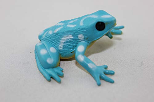 Cornelissen - 821089 - Pfeilgiftfrosch, Frosch, blau, 4,5cm, PVC Cornelissen - 821089 - Pfeilgiftfrosch, Frosch, blau, 4,5cm, PVC von Cornelissen