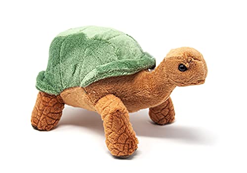 Cornelißen Kuscheltier - Grüne Landschildkröte - 20 cm Cornelißen Kuscheltier - Grüne Landschildkröte - 20 cm von Cornelißen