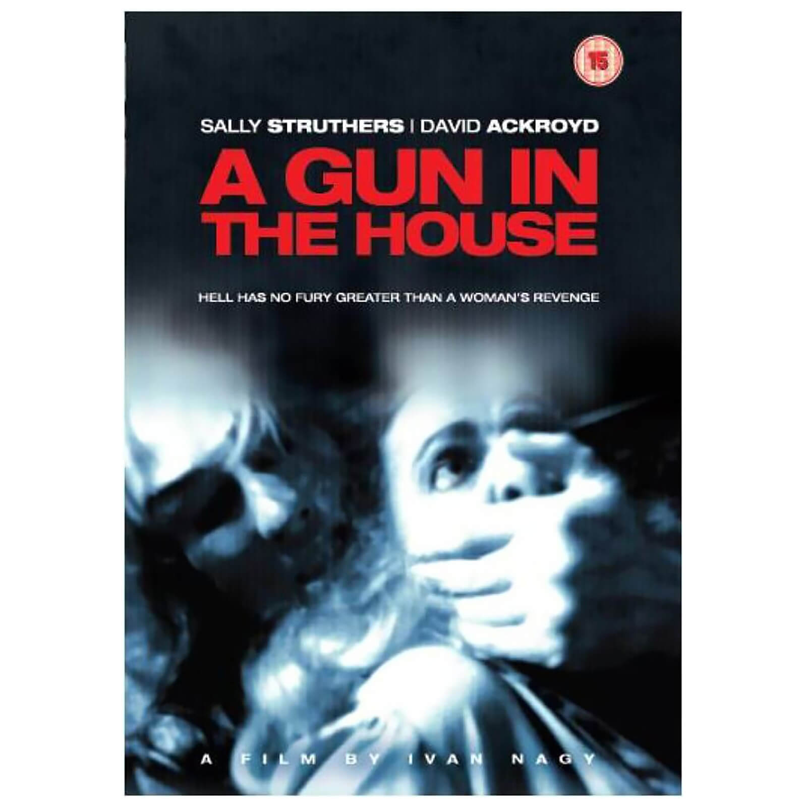 A Gun in the House von Cornerstone Media