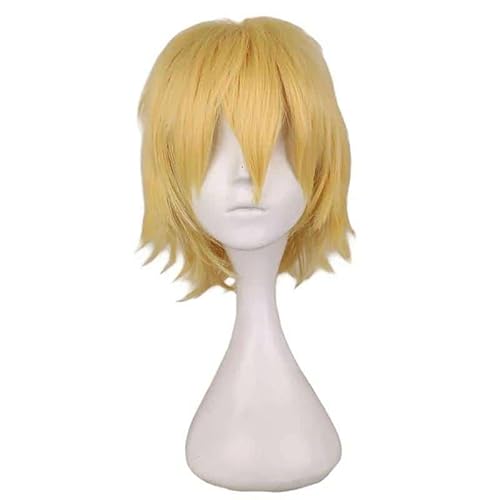 Anime Noragami Yukine Cosplay Kostüm Wig Japanese White Kimono Bathrobe Haori Adult Man Woman Halloween Carnival Suit, wig, XL, Noragami von CosplayHero