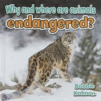 Why and Where Are Animals Endangered? von Crabtree Publishing Co,US