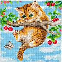 Craft Buddy CAK-A73 - Cherry Kitten, 30x30cm Crystal Art Kit, Diamond Painting Craft Buddy CAK-A73 - Cherry Kitten, 30x30cm Crystal Art Kit, Diamond Painting von Craft Buddy Ltd.