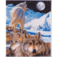 Craft Buddy CAK-CH2 - The Sentinel, 40x50cm Crystal Art Kit, Diamond Painting von Craft Buddy Ltd.