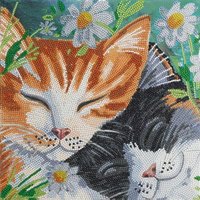 Crystal Art Leinwandbild Katzen 30x30 cm von Craft Buddy Ltd.