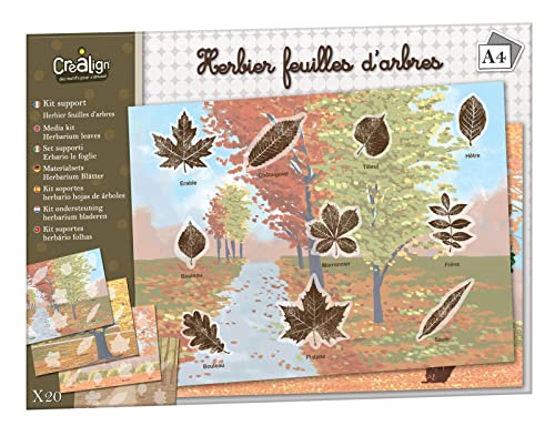 Créa Lign' Herbier Blätter-Set, Baumblätter Créa Lign' Herbier Blätter-Set, Baumblätter von Créa Lign'