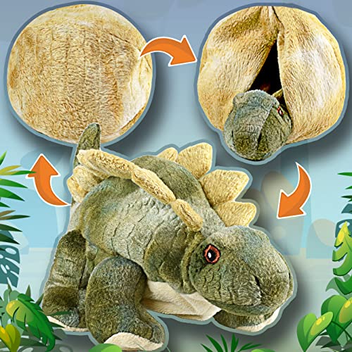 Creanino Dino Kuscheltier 2 in 1 | Plüschtier zum Wenden [Stegosaurus Drake] Dinosaurier Kuscheltier | Plüschtier Dinosaurier | Wende Kuscheltier | Dino Plush | Dinosaurier Stegosaurus von Creanino