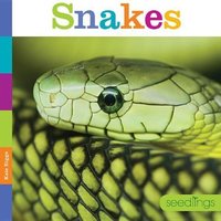 Snakes von Creative Company