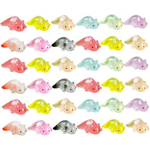 Csafyrt 36pcs Mini Harz Axolotl niedliche Axolotl Mini Harztiere Mini Tiere für DIY Craft Dollhouse Ornament Axolotl Tank Dekor Axolotl Geschenke zufällige Farbe von Csafyrt