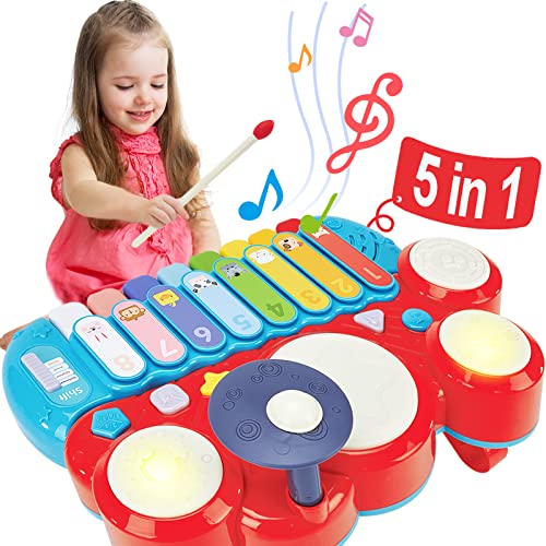 Hahaland 5 in 1 Baby Musikspielzeug Baby ab 1 2 3 4 5 Jahr Baby Xylophon Spielzeug und Trommel ab 18 Monate Mädchen Junge von hahaland