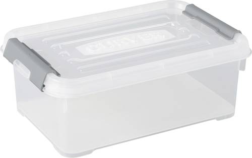 Curver 243810 Aufbewahrungsbox HANDY stapelbar (L x B x H) 294 x 194 x 110mm Transparent, Silber 1St von Curver