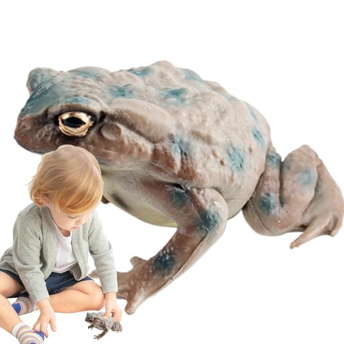 Cushangty Kröten-Spielzeugfigur,Kröten-Spielzeugtier | Ochsenfrosch Figur Modell PVC Froschfiguren - Niedliche Froschstatue-Modelle, Spielzeug-Miniatur-Sammelfiguren für Kinderzimmer, Klassenzimmer von Cushangty