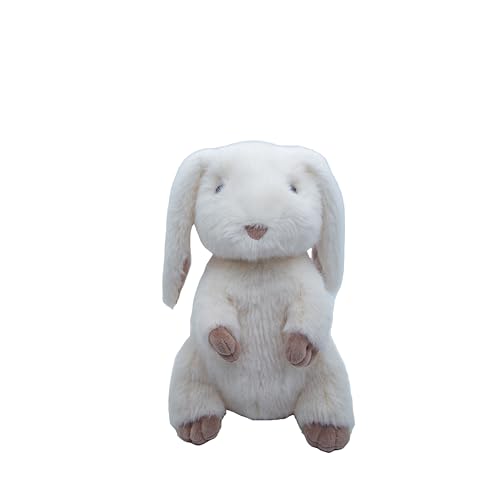 Cute Since 1999 Kuscheltier Baby ab 0 Monate - Kuscheltiere für Junge & Mädchen - Sachen & Geschenk für Neugeborene - Plüschtiere Kinder - Sitzende Stofftiere (Hase 20cm) von Cute Since 1999