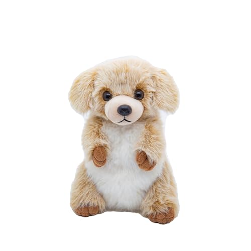 Cute Since 1999 Kuscheltier Baby ab 0 Monate - Kuscheltiere für Junge & Mädchen - Sachen & Geschenk für Neugeborene - Plüschtiere Kinder - Sitzende Stofftiere (Hund 30cm) von Cute Since 1999