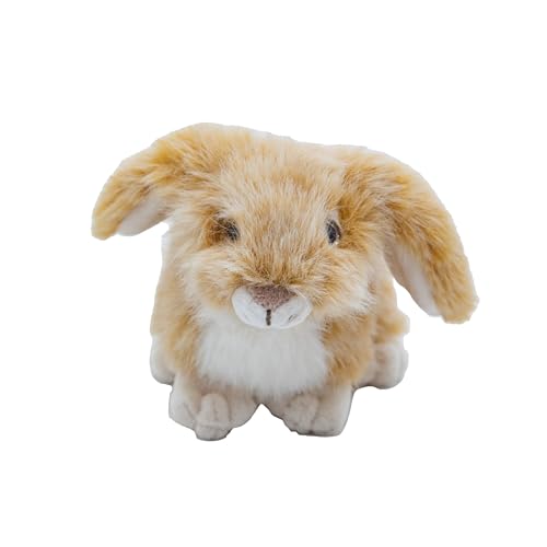 Cute Since 1999 Kuscheltier Baby ab 0 Monate - Kuscheltiere für Junge & Mädchen - Sachen & Geschenk für Neugeborene - Plüschtiere Kinder - Stehendes Stofftiere (Hase Beige XS) von Cute Since 1999