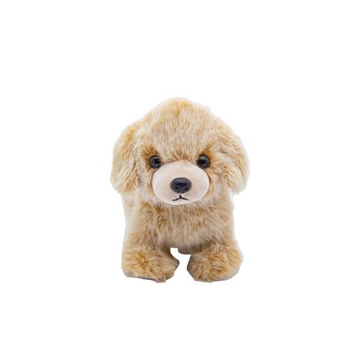 Cute Since 1999 Kuscheltier Baby ab 0 Monate - Kuscheltiere für Junge & Mädchen - Sachen & Geschenk für Neugeborene - Plüschtiere Kinder - Stehendes Stofftiere (Hund 22cm) von Cute Since 1999