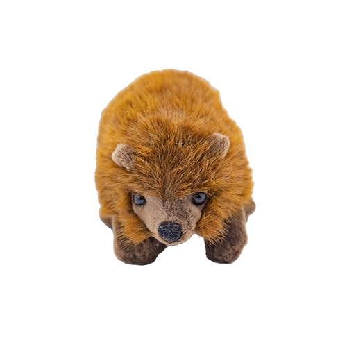 Cute Since 1999 Kuscheltier Baby ab 0 Monate - Stofftiere für Junge & Mädchen - Sachen & Geschenk für Neugeborene - Plüschtiere Kinder (Igel) von Cute Since 1999