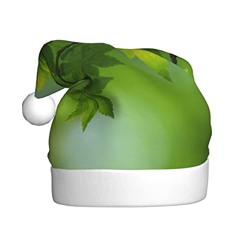 Cykazhst Hd Green Nature Weihnachtsmütze für Erwachsene, Unisex, Plüsch-Weihnachtsmütze für Neujahr, festliches Partyzubehör von Cykazhst